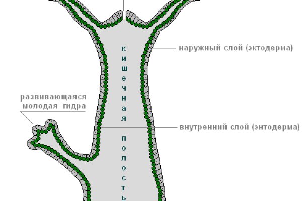 Короткая ссылка на кракен