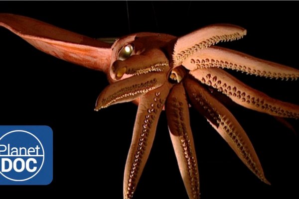 Kraken ссылка tg