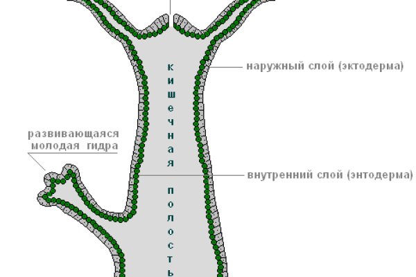 Сайт kraken darknet